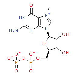 ChemSpider 2D Image | 7-methylguanosine 5'-diphosphate(2-) | C11H15N5O11P2