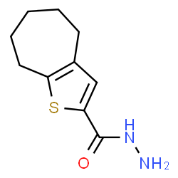 ChemSpider 2D Image | 4H,5H,6H,7H,8H-cyclohepta[b]thiophene-2-carbohydrazide | C10H14N2OS