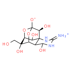 ChemSpider 2D Image | (11S,13S)-5,12,13,14-Tetrahydroxy-14-(hydroxymethyl)-3-iminio-8,10-dioxa-2,4-diazatetracyclo[7.3.1.1~7,11~.0~1,6~]tetradecan-9-olate | C11H16N3O8