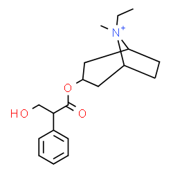 ChemSpider 2D Image | 8-Ethyl-3-[(3-hydroxy-2-phenylpropanoyl)oxy]-8-methyl-8-azoniabicyclo[3.2.1]octane | C19H28NO3