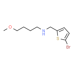 ChemSpider 2D Image | N-[(5-Bromo-2-thienyl)methyl]-4-methoxy-1-butanamine | C10H16BrNOS