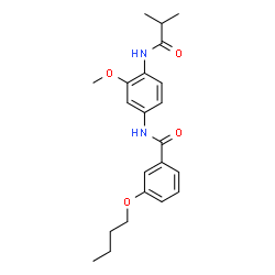 ChemSpider 2D Image | 3-Butoxy-N-[4-(isobutyrylamino)-3-methoxyphenyl]benzamide | C22H28N2O4