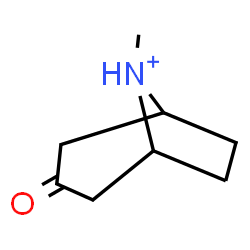 ChemSpider 2D Image | 8-Methyl-3-oxo-8-azoniabicyclo[3.2.1]octane | C8H14NO