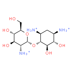 ChemSpider 2D Image | (1R,2R,3S,4R,6S)-4,6-Diammonio-2,3-dihydroxycyclohexyl 2-ammonio-2-deoxy-alpha-D-glucopyranoside | C12H28N3O7