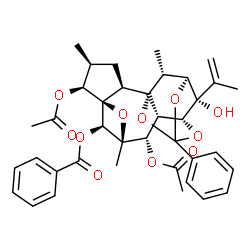 ChemSpider 2D Image | (1R,2S,4S,5S,6R,8R,9S,10R,11R,15S,16R,18S,19R)-5,9-Diacetoxy-18-hydroxy-18-isopropenyl-4,8,16-trimethyl-13-phenyl-7,12,14,17-tetraoxahexacyclo[11.3.1.1~6,8~.1~11,15~.0~1,10~.0~2,6~]nonadec-19-yl benzo
ate | C38H42O11