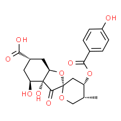 ChemSpider 2D Image | (2S,3aR,4S,4'S,5'R,6S,7aR)-3a,4-Dihydroxy-4'-[(4-hydroxybenzoyl)oxy]-5'-methyl-3-oxodecahydro-3H-spiro[1-benzofuran-2,2'-pyran]-6-carboxylic acid | C21H24O10
