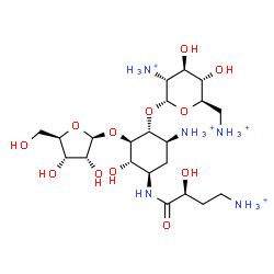 ChemSpider 2D Image | (1R,2R,3S,4R,6S)-6-Ammonio-4-{[(2S)-4-ammonio-2-hydroxybutanoyl]amino}-3-hydroxy-2-(beta-D-ribofuranosyloxy)cyclohexyl 2,6-diammonio-2,6-dideoxy-alpha-D-glucopyranoside | C21H45N5O12