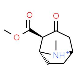 ChemSpider 2D Image | (1R,2R,5S,8R)-2-(Methoxycarbonyl)-8-methyl-3-oxo-8-azoniabicyclo[3.2.1]octane | C10H16NO3