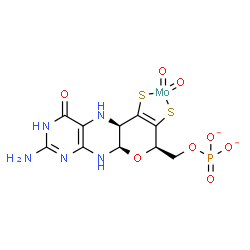 ChemSpider 2D Image | {[(5aR,8R,9aR)-2-Amino-4-oxo-6,7-di(sulfanyl-kappaS)-1,5,5a,8,9a,10-hexahydro-4H-pyrano[3,2-g]pteridin-8-yl]methyl dihydrogenato(4-) phosphate}(dioxo)molybdate(2-) | C10H10MoN5O8PS2