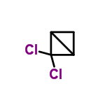 InChI=1/C4H4Cl2/c5-4(6)2-1-3(2)4/h2-3H,1H2