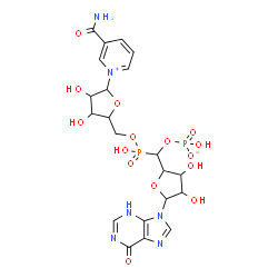 ChemSpider 2D Image | [[[5-(3-carbamoylpyridin-1-ium-1-yl)-3,4-dihydroxy-tetrahydrofuran-2-yl]methoxy-hydroxy-phosphoryl]-[3,4-dihydroxy-5-(6-oxo-3H-purin-9-yl)tetrahydrofuran-2-yl]methyl] hydrogen phosphate | C21H26N6O15P2