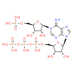 ChemSpider 2D Image | [[(2R,3S,4R,5R)-5-[1-[(2R,3R,4S,5R)-3,4-dihydroxy-5-(phosphonooxymethyl)tetrahydrofuran-2-yl]-6-imino-purin-9-yl]-3,4-dihydroxy-tetrahydrofuran-2-yl]methoxy-hydroxy-phosphoryl] phosphono hydrogen phosphate | C15H25N5O20P4
