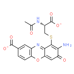 ChemSpider 2D Image | 1-{[(2R)-2-Acetamido-2-carboxylatoethyl]sulfanyl}-2-amino-3-oxo-3H-phenoxazine-8-carboxylate | C18H13N3O7S