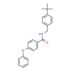 ChemSpider 2D Image | N-[4-(2-Methyl-2-propanyl)benzyl]-4-phenoxybenzamide | C24H25NO2