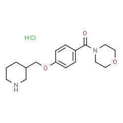ChemSpider 2D Image | 4-{4-[(PIPERIDIN-3-YL)METHOXY]BENZOYL}MORPHOLINE HYDROCHLORIDE | C17H25ClN2O3
