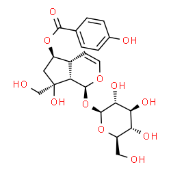 ChemSpider 2D Image | (1S,4aR,5R,7S,7aS)-1-(beta-D-Glucopyranosyloxy)-7-hydroxy-7-(hydroxymethyl)-1,4a,5,6,7,7a-hexahydrocyclopenta[c]pyran-5-yl 4-hydroxybenzoate | C22H28O12