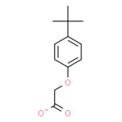 ChemSpider 2D Image | [4-(2-Methyl-2-propanyl)phenoxy]acetate | C12H15O3