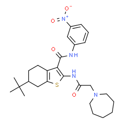 ChemSpider 2D Image | 2-[(1-Azepanylacetyl)amino]-6-(2-methyl-2-propanyl)-N-(3-nitrophenyl)-4,5,6,7-tetrahydro-1-benzothiophene-3-carboxamide | C27H36N4O4S
