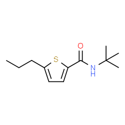 ChemSpider 2D Image | N-(2-Methyl-2-propanyl)-5-propyl-2-thiophenecarboxamide | C12H19NOS
