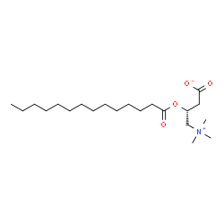 ChemSpider 2D Image | C14-Carnitine | C21H41NO4