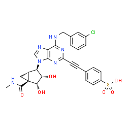 ChemSpider 2D Image | 4-({6-[(3-Chlorobenzyl)amino]-9-[(1S,2R,3S,4R,5S)-3,4-dihydroxy-5-(methylcarbamoyl)bicyclo[3.1.0]hex-2-yl]-9H-purin-2-yl}ethynyl)benzenesulfonic acid | C28H25ClN6O6S