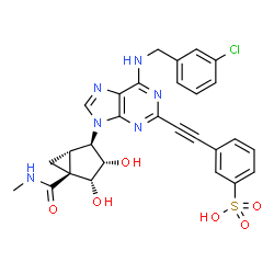 ChemSpider 2D Image | 3-({6-[(3-Chlorobenzyl)amino]-9-[(1S,2R,3S,4R,5S)-3,4-dihydroxy-5-(methylcarbamoyl)bicyclo[3.1.0]hex-2-yl]-9H-purin-2-yl}ethynyl)benzenesulfonic acid | C28H25ClN6O6S