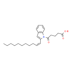 ChemSpider 2D Image | 5-Oxo-5-{2-[(1Z)-1-undecen-1-yl]-1H-indol-1-yl}pentanoic acid | C24H33NO3