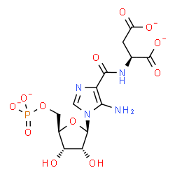 ChemSpider 2D Image | 5-Amino-N-[(1S)-1,2-dicarboxylatoethyl]-1-(5-O-phosphonato-beta-D-ribofuranosyl)-1H-imidazole-4-carboxamide | C13H15N4O12P