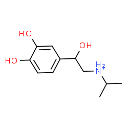 ChemSpider 2D Image | N-[2-(3,4-Dihydroxyphenyl)-2-hydroxyethyl]-2-propanaminium | C11H18NO3