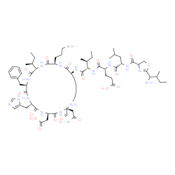 ChemSpider 2D Image | N-{[2-(1-Amino-2-methylbutyl)-4,5-dihydro-1,3-thiazol-4-yl]carbonyl}leucyl-D-alpha-glutamyl-N-[(2S,5R,8S,11R,14S,17R,20S)-2-(2-amino-2-oxoethyl)-17-(3-aminopropyl)-11-benzyl-14-[(2S)-2-butanyl]-5-(car
boxymethyl)-2-formyl-8-(1H-imidazol-5-ylmethyl)-4,7,10,13,16,19-hexaoxo-1,3,6,9,12,15,18-heptaazacyclotetracosan-20-yl]-L-isoleucinamide | C66H103N17O16S