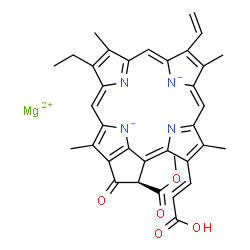 ChemSpider 2D Image | Magnesium (21R)-3-[(E)-2-carboxyvinyl]-14-ethyl-21-(methoxycarbonyl)-4,8,13,18-tetramethyl-20-oxo-9-vinyl-3,4,23,25-tetradehydrophorbine-23,25-diide | C35H30MgN4O5