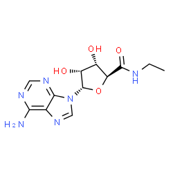 ChemSpider 2D Image | (2S,3S,4R,5S)-5-(6-Amino-9H-purin-9-yl)-N-ethyl-3,4-dihydroxytetrahydro-2-furancarboxamide (non-preferred name) | C12H16N6O4
