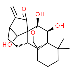 ChemSpider 2D Image | (5beta,6beta,7alpha,9beta,10xi)-6,7,14-Trihydroxy-7,20-epoxykaur-16-en-15-one | C20H28O5