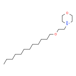 ChemSpider 2D Image | 4-[2-(Dodecyloxy)ethyl]morpholin-4-ium | C18H38NO2