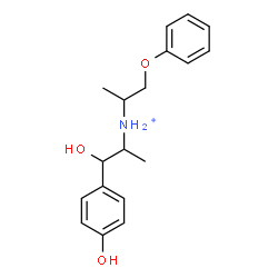 ChemSpider 2D Image | 1-Hydroxy-1-(4-hydroxyphenyl)-N-(1-phenoxy-2-propanyl)-2-propanaminium | C18H24NO3