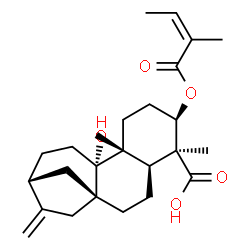ChemSpider 2D Image | (3alpha,5beta,8alpha,9beta,10alpha,13alpha)-9-Hydroxy-3-{[(2Z)-2-methyl-2-butenoyl]oxy}kaur-16-en-18-oic acid | C25H36O5