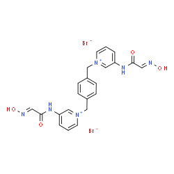 ChemSpider 2D Image | 1,1'-[1,4-Phenylenebis(methylene)]bis(3-{[(2E)-2-(hydroxyimino)acetyl]amino}pyridinium) dibromide | C22H22Br2N6O4