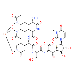 ChemSpider 2D Image | [N~5~-Acetyl-N~5~-(hydroxy-kappaO)-L-ornithyl-N~5~-acetyl-N~5~-(hydroxy-kappaO)-L-ornithyl-N~5~-acetyl-N~5~-(hydroxy-kappaO)-L-ornithyl-L-seryl-(3S)-3-[(2R,3R,4R,5R)-3,4-dihydroxy-5-(3-methyl-2,4-diox
o-3,4-dihydro-1(2H)-pyrimidinyl)tetrahydro-2-thiophenyl]-D-serinato(3-)]iron | C36H55FeN10O18S