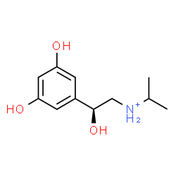 ChemSpider 2D Image | N-[(2S)-2-(3,5-Dihydroxyphenyl)-2-hydroxyethyl]-2-propanaminium | C11H18NO3
