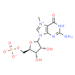 ChemSpider 2D Image | 2-Amino-7-methyl-6-oxo-9-(5-O-phosphonato-D-ribofuranosyl)-6,9-dihydro-1H-purin-7-ium | C11H15N5O8P