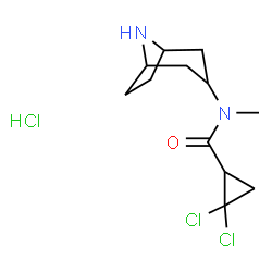 ChemSpider 2D Image | N-(8-Azabicyclo[3.2.1]oct-3-yl)-2,2-dichloro-N-methylcyclopropanecarboxamide hydrochloride (1:1) | C12H19Cl3N2O