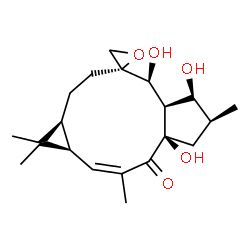 ChemSpider 2D Image | (1aR,2Z,4aR,6S,7S,7aR,8S,9R,11aS)-4a,7,8-Trihydroxy-1,1,3,6-tetramethyl-1a,4a,5,6,7,7a,8,10,11,11a-decahydrospiro[cyclopenta[a]cyclopropa[f][11]annulene-9,2'-oxiran]-4(1H)-one | C20H30O5