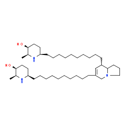 ChemSpider 2D Image | (2S,3S,6R,2'S,3'S,6'R)-6,6'-(1,2,3,5,8,8a-Hexahydroindolizine-6,8-diyldi-10,1-decanediyl)bis(2-methyl-3-piperidinol) | C40H75N3O2