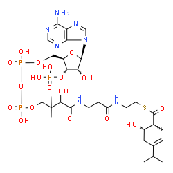 ChemSpider 2D Image | S-{1-[(2R,3S,4R,5R)-5-(6-Amino-9H-purin-9-yl)-4-hydroxy-3-(phosphonooxy)tetrahydro-2-furanyl]-3,5,9-trihydroxy-8,8-dimethyl-3,5-dioxido-10,14-dioxo-2,4,6-trioxa-11,15-diaza-3lambda~5~,5lambda~5~-dipho
sphaheptadecan-17-yl} 3-hydroxy-2,6-dimethyl-5-methyleneheptanethioate (non-preferred name) | C31H52N7O18P3S
