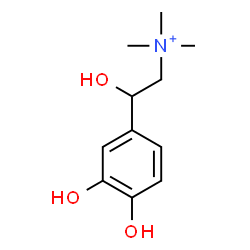 ChemSpider 2D Image | 2-(3,4-Dihydroxyphenyl)-2-hydroxy-N,N,N-trimethylethanaminium | C11H18NO3