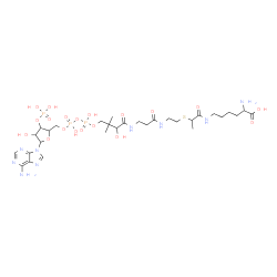 ChemSpider 2D Image | 26-Amino-1-[5-(6-amino-9H-purin-9-yl)-4-hydroxy-3-(phosphonooxy)tetrahydro-2-furanyl]-3,5,9-trihydroxy-8,8,19-trimethyl-10,14,20-trioxo-2,4,6-trioxa-18-thia-11,15,21-triaza-3,5-diphosphaheptacosan-27-
oic acid 3,5-dioxide | C30H52N9O19P3S
