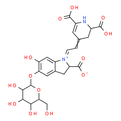ChemSpider 2D Image | (1E)-1-[2-(2,6-Dicarboxy-2,3-dihydro-4(1H)-pyridinylidene)ethylidene]-5-(hexopyranosyloxy)-6-hydroxy-2,3-dihydro-1H-indolium-2-carboxylate | C24H26N2O13