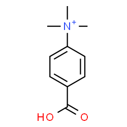 ChemSpider 2D Image | 4-Carboxy-N,N,N-trimethylanilinium | C10H14NO2