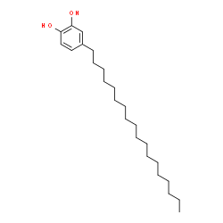 ChemSpider 2D Image | 4-Octadecyl-1,2-benzenediol | C24H42O2