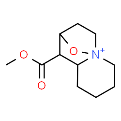 ChemSpider 2D Image | 7-(Methoxycarbonyl)-11-oxa-1-azoniatricyclo[6.2.1.0~1,6~]undecane | C11H18NO3
